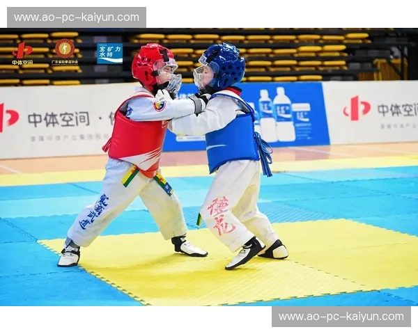 跆拳道分析：技战术与训练解密